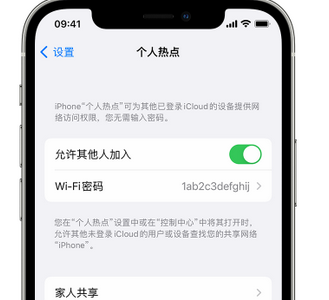 积石山apple服务站点分享iPhone上个人热点丢失了怎么办 