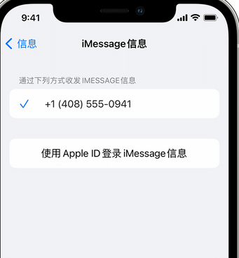 积石山apple维修iPhone上无法正常发送iMessage信息 