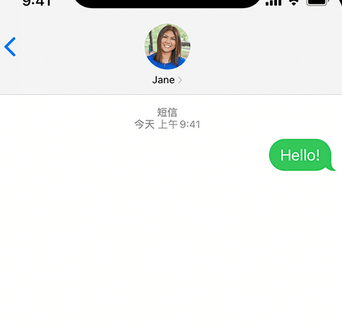 积石山apple维修iPhone上无法正常发送iMessage信息