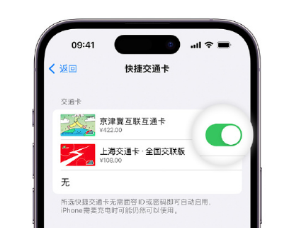 积石山apple维修点分享iPhone上更换Apple Pay快捷交通卡手绘卡面 