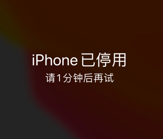 积石山苹果手机维修分享:iPhone 显示“不可用”或“已停用”怎么办？还能保留数据吗？ 