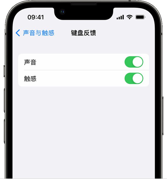 积石山苹果14维修店分享如何在 iPhone 14 机型中使用触感键盘 