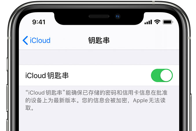 积石山苹果手机维修分享在 iPhone 上开启 iCloud 钥匙串之后会储存哪些信息 